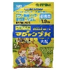 E엿
