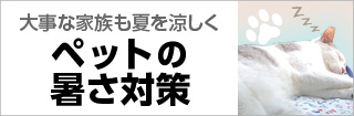 ybgN[piW