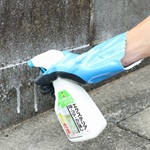 玄関アプローチの苔を落とす方法 くすみ汚れをとって明るさを取り戻そう！