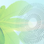 夏を涼しく暮らす家電特集