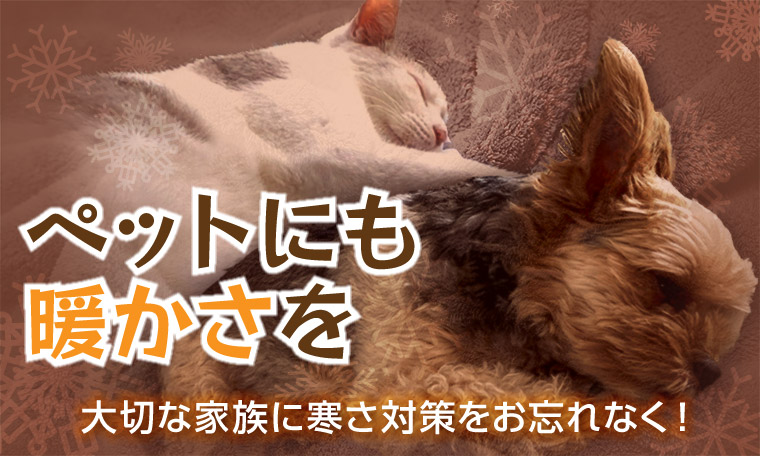 ペットウォーム用品特集