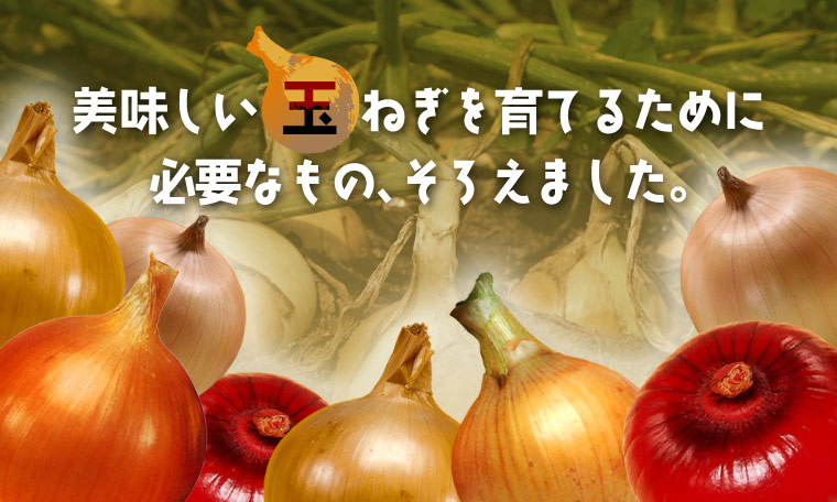 玉ねぎ苗関連資材