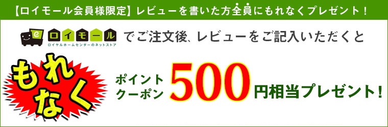 lIr[ƃ|CgN[|500~v[gI