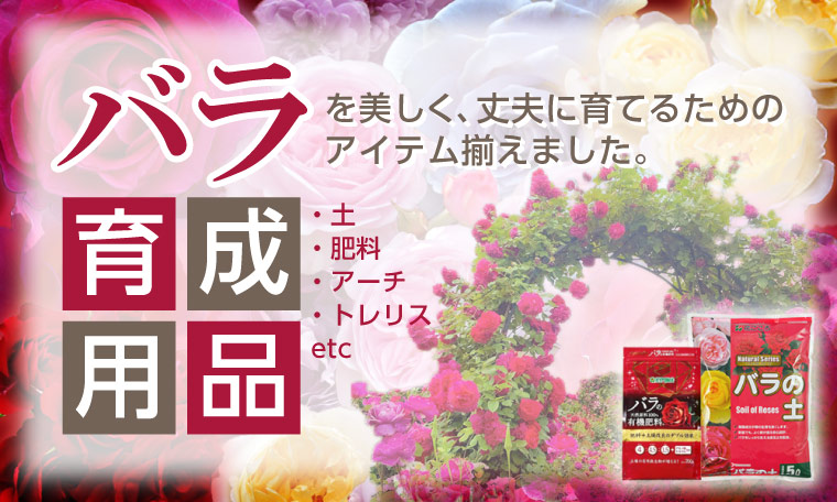 バラ関連資材特集