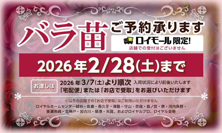 バラ苗予約特集