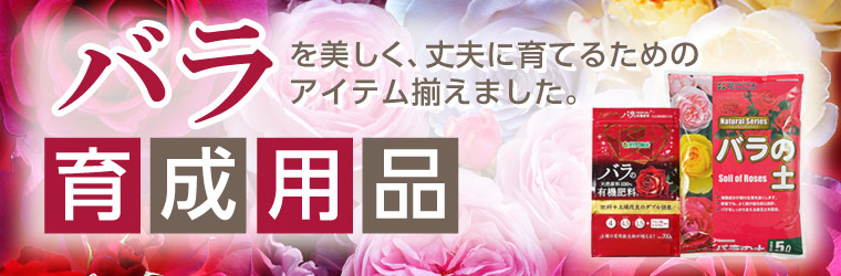 バラ関連資材特集