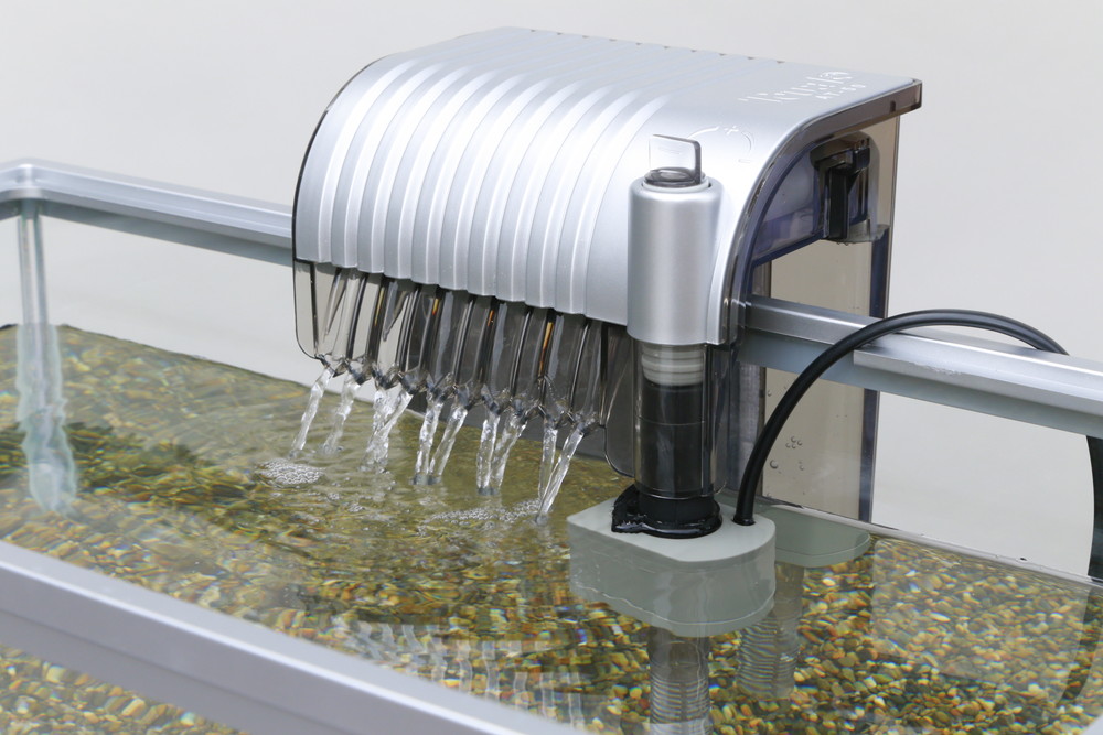 熱帯魚の飼い方 ロイヤルホームセンター公式ロイモール