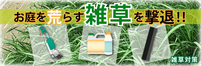 お庭の雑草対策特集