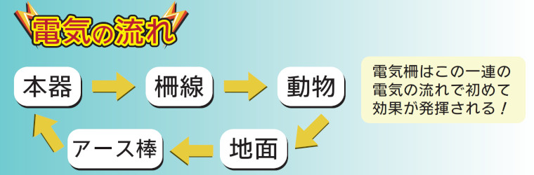 電気の流れ