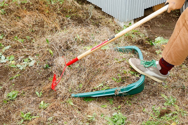 レーキでかき集める