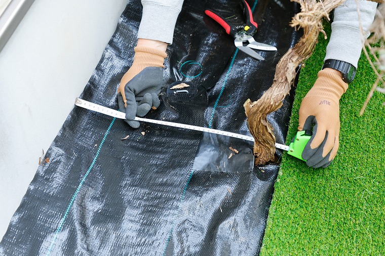 壁と植物の距離を測る