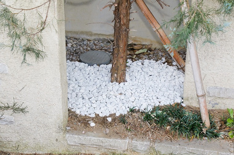 庭木の足元に砂利