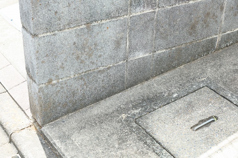 苔が発生したコンクリートブロック