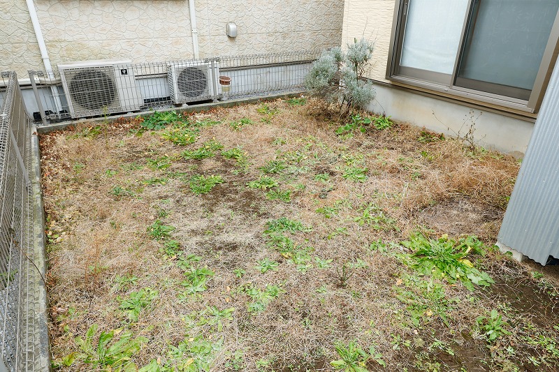 雑草を取り除く