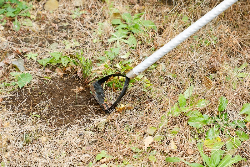 雑草を削り取る