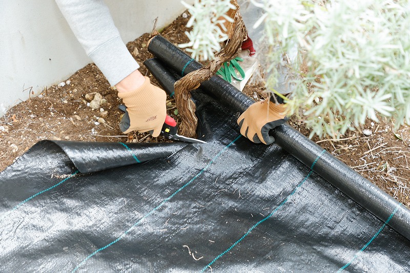 シートに切り込み