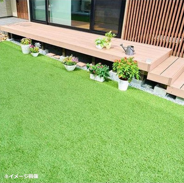 ほうきで芝を整えている様子