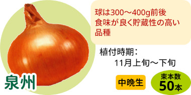 泉州