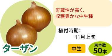 ターザン