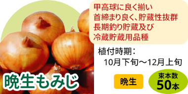 晩生もみじ