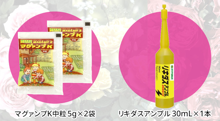 予約特典
