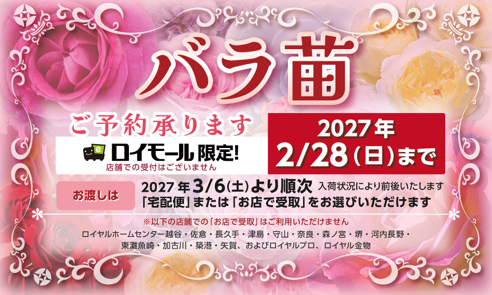 バラ苗予約注文【2月28日(日)まで受付】