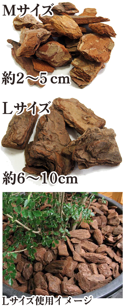 早割クーポン バークチップ デコレーションバーク Mサイズ Escoladenatura Cat