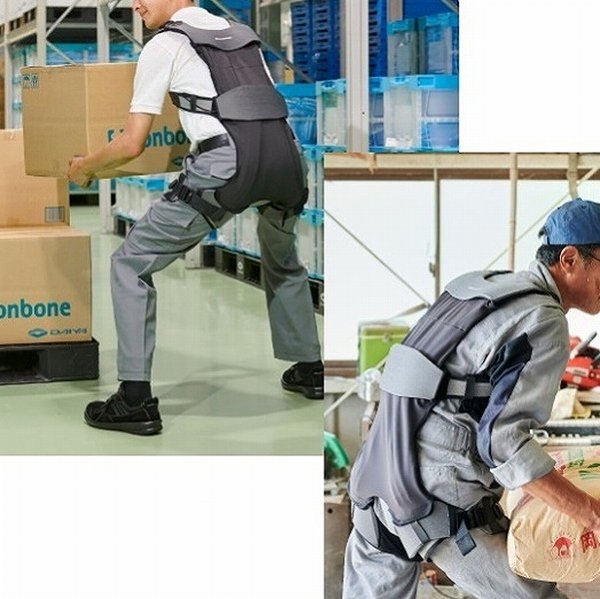 DARWING Hakobelude(ダーウィン ハコベルデ) L