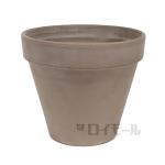 デローマ　スタンダード　グラフィート　２３ｃｍ