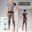 職人 ＤＡＲＷＩＮＧＴ　Ｔタイプ　Ｌ