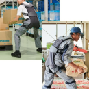 ＤＡＲＷＩＮＧ Ｈａｋｏｂｅｌｕｄｅ(ダーウィン ハコベルデ)　Ｌ