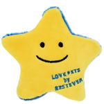 ベストエバー　シン＆チュウイー　星