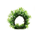 テトラ　ウォーターリース　Ｓ