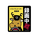 キャプテンスタッグ　鹿番長ステッカー　録画中　９１×１０３　ＵＭ－１５７３