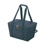 サーモス　保冷買い物カゴ用バッグ　ナイトグレー　ＲＦＧ-０２５（Ｎ-ＧＹ）