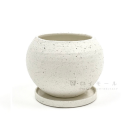 セントポット　ボール　Ｓ　ホワイト