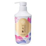 いち髪　なめらかスムースケア　シャンプー　みずみずしく可憐な山桜三分咲きの香り　ポンプ　４５０ｍＬ