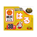 桐灰カイロ　はる　３０個入