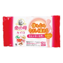 命の母カイロ　貼るタイプ　１０個入