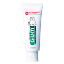 ガム　デンタルペースト　こども用　フルーツミント味　７０ｇ