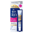 オーラ２　プレミアム　クレンジングペースト　プレミアムミント　１７ｇ