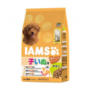 アイムス　子いぬ用　チキン　小粒　２.６ｋｇ