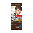サロンドプロ　ワンプッシュメンズカラー（白髪用）　６ ＜ダークブラウン＞