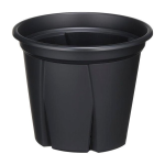 アップルウェアー　根っこつよし　６号　ブラック