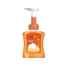 ミューズ　泡ハンドソープ　フルーティフレッシュの香り　ボトル　２５０ｍＬ
