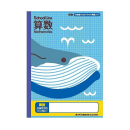アピカ　学習帳　算数　５ｍｍ方眼罫　１０ｍｍ実線入り