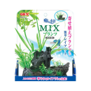 GEX　癒し水景　ＭＩＸプランツ　ロック黒