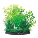 ＧＥＸ　癒し水景　ＭＩＸプランツ　Ｌ　ロタラ