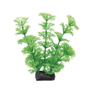 ＧＥＸ　癒し水景　アンブリアＳ