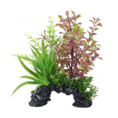 ＧＥＸ　癒し水景　ＭＩＸプランツ　ミニアーチ　レッドロタラ